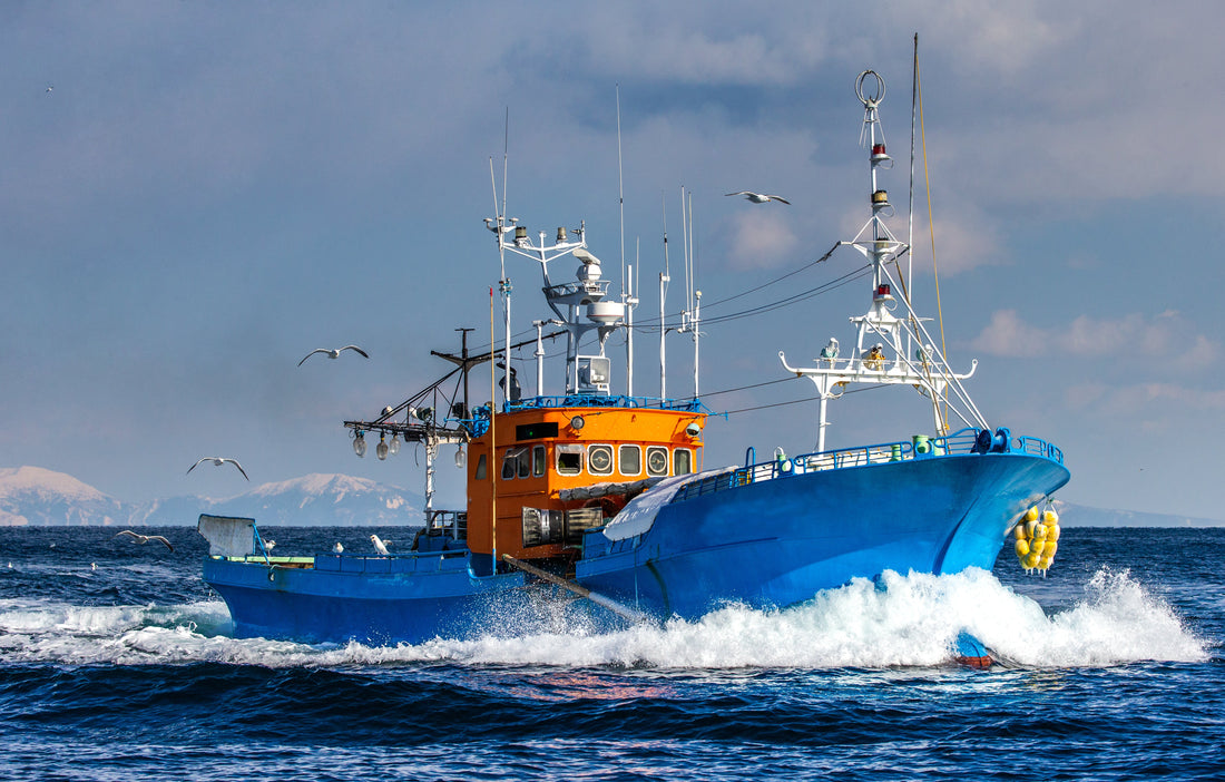 TEAMAC MARINE GLOSS: DURABLE PROTECTION AND A PROFESSIONAL FINISH FOR BOATS